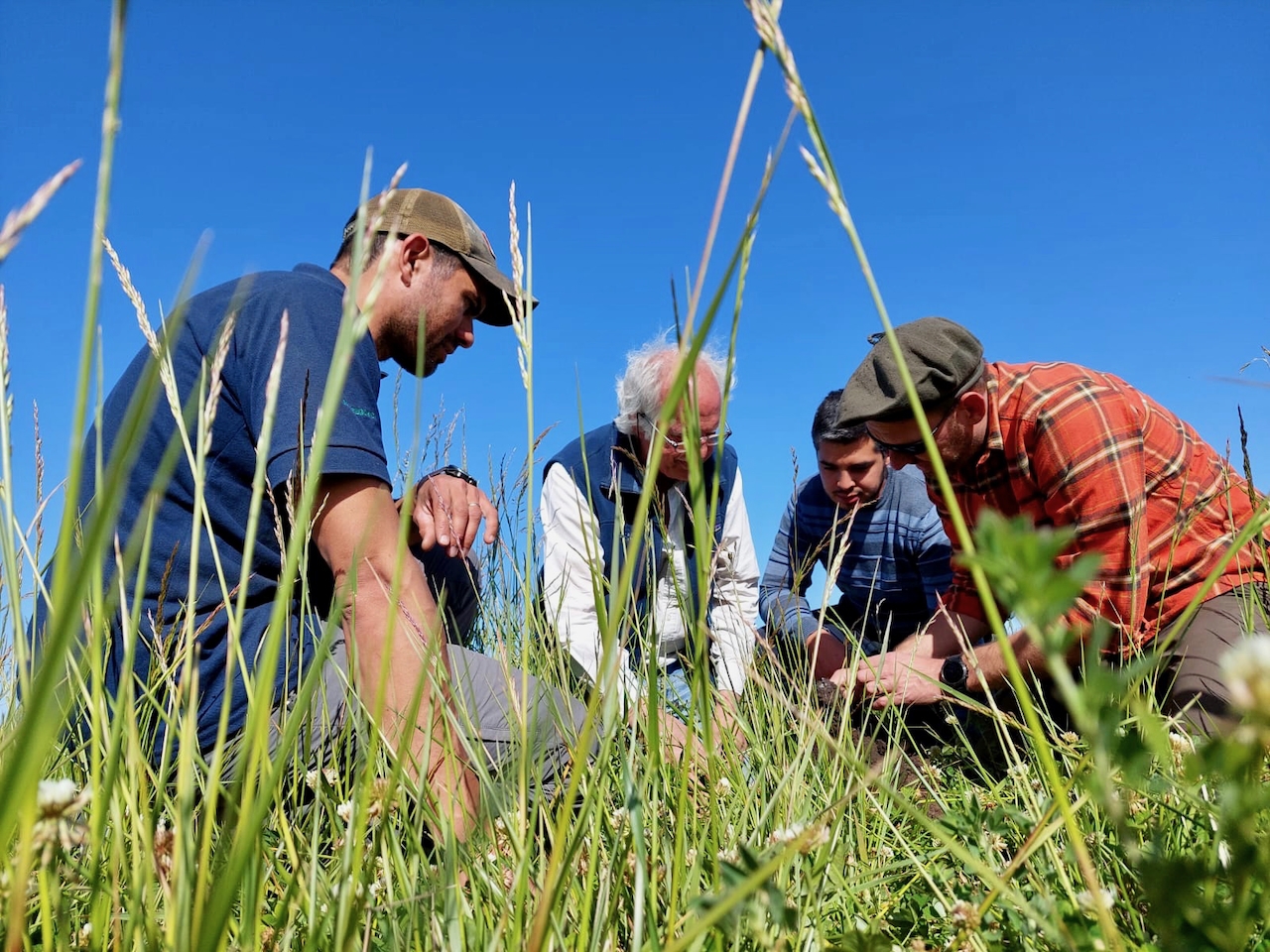 Holistic Planned Grazing in Argentina